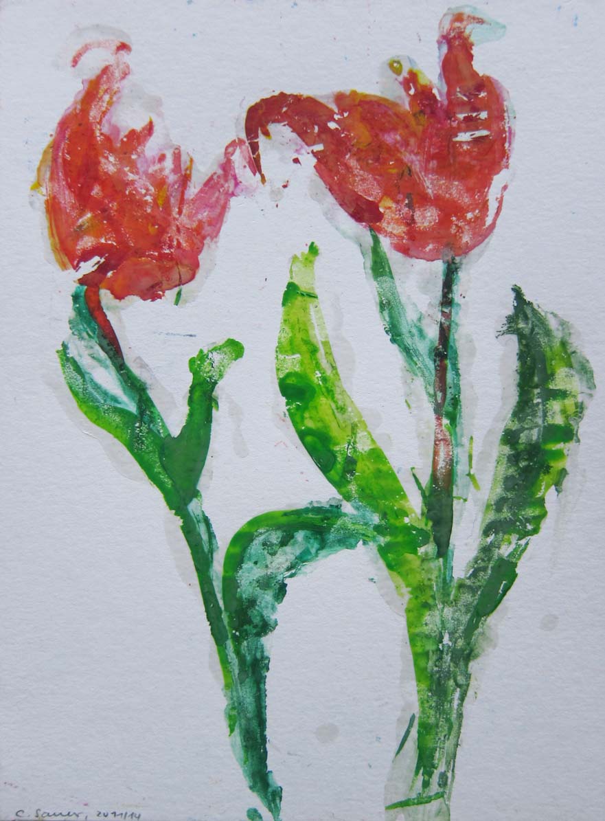Privat: tulips