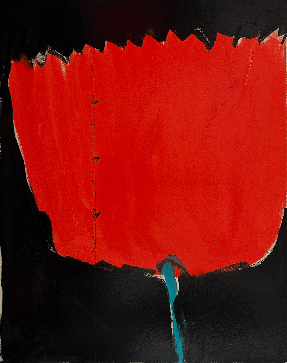 Klatschmohn II
